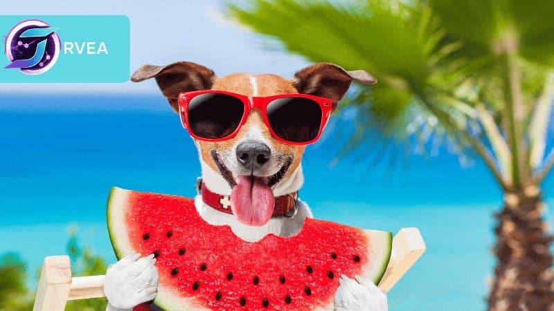 How to Keep Your Pet Healthy and Happy During Summer