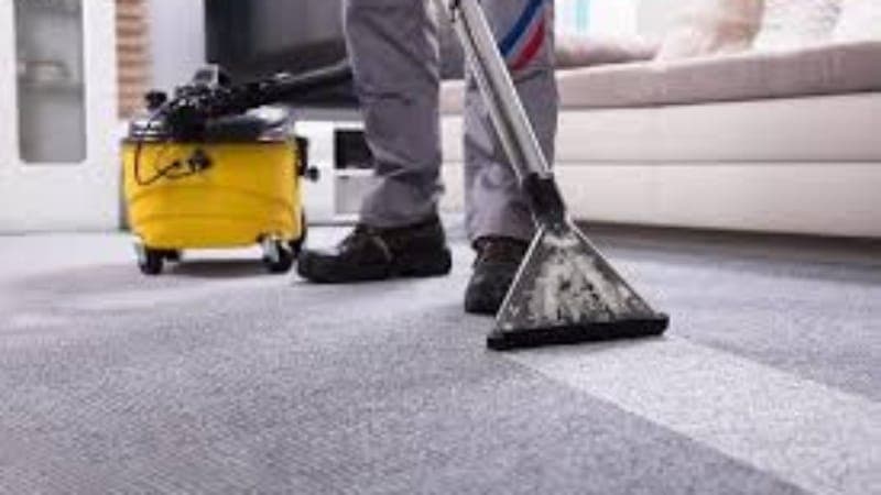 Carpet Cleaning Services Help Homes That Need Better Hygiene