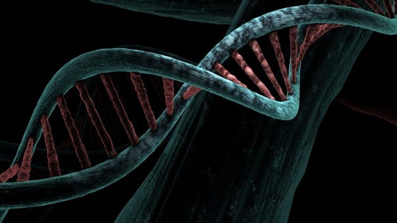 How Accurate Is DNA Testing for Mental Health Treatment?