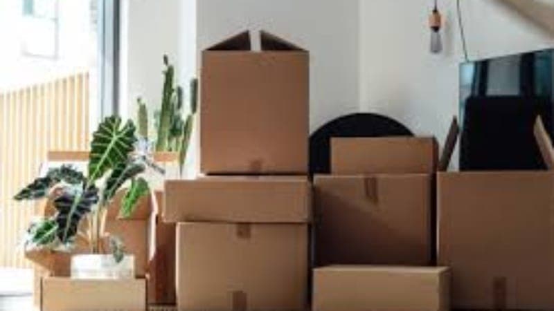 Tips to Store and Reuse Cardboard Boxes Efficiently