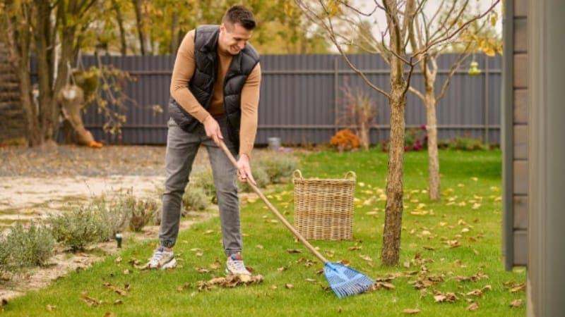 Top 5 Carpet Types That Survive the Top End Climate