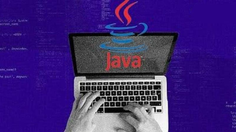 What Makes Java a Popular Choice for Developers?