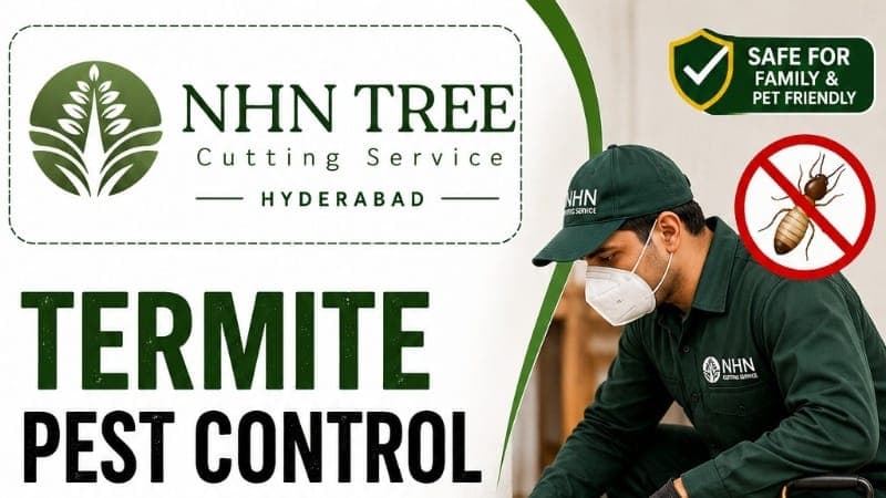 Termite Pest Control Services in Hyderabad – NHN Trees